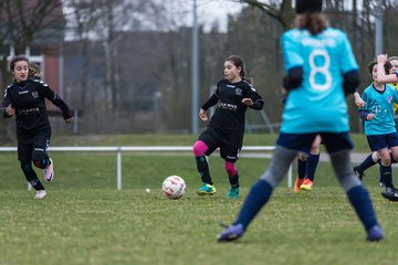 Bild 151 - D-Juniorinnen SVHU - FFC Nordlichter Norderstedt : Ergebnis: 10:0